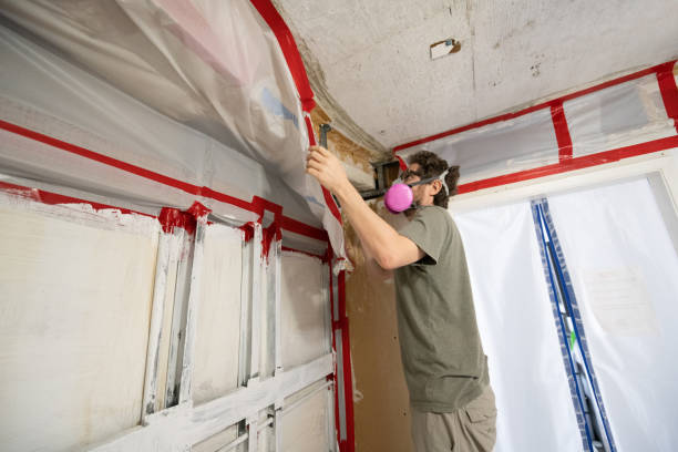  Mccordsville, IN Mold Removal Pros