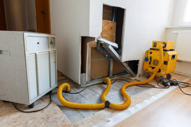 Best HVAC Mold Inspection and Cleaning  in Mccordsville, IN