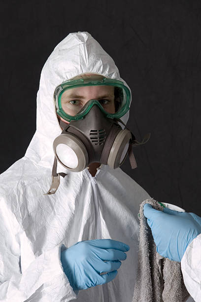 Best Black Mold Removal  in Mccordsville, IN